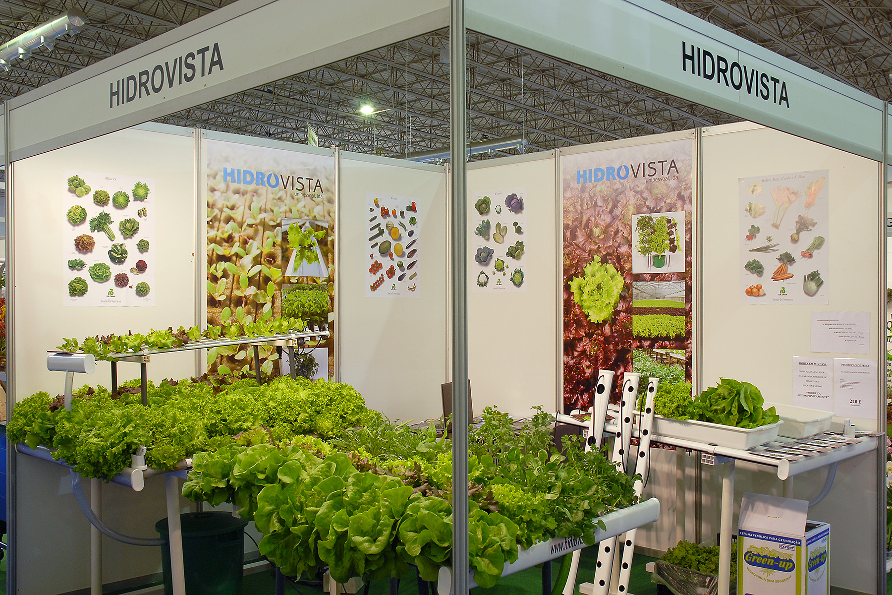 Cultivo Hidropónico